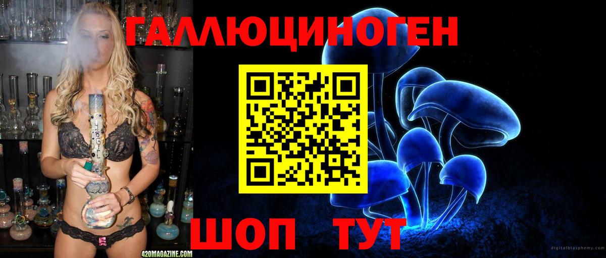 Псилоцибиновые грибы Psilocybe  Псилоцибиновые грибы прущие грибы  Вход с VPN  Щёкино 